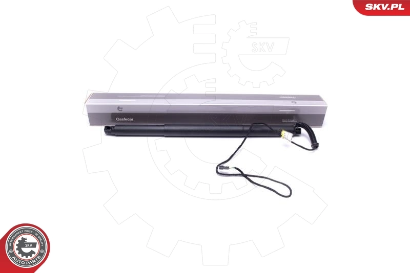 Electric Motor, tailgate